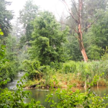 Von Freising nach Moosburg a.d. Isar 21 km - (c) Jörg Bornmann