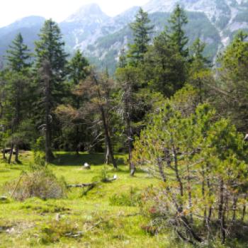 Von Scharnitz nach Mittenwald 7 km - (c) Jörg Bornmann