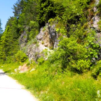Von Mittenwald nach Wallgau 12 km - (c) Jörg Bornmann