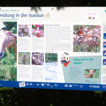 Von Lenggries nach Bad Tölz 11,9 km - (c) Jörg Bornmann