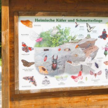 Von Lenggries nach Bad Tölz 11,9 km - (c) Jörg Bornmann