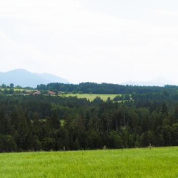 Von Bad Tölz nach Wolfratshausen 29 km - (c) Jörg Bornmann