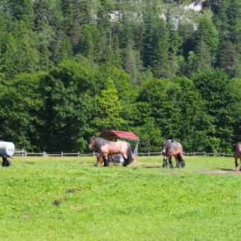 Von Scharnitz nach Mittenwald 7 km - (c) Jörg Bornmann