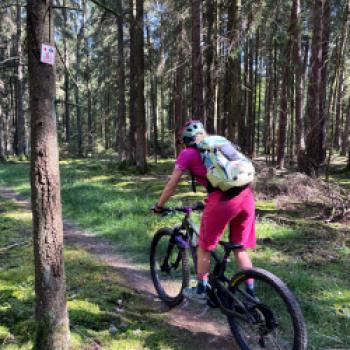 Die Trails verlaufen wunderschön durch den Wald... - (c) Christine Kroll