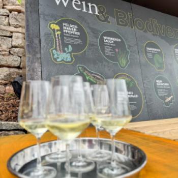 „terroir f Punkt Abt-Degen-Weintal", Ein magischer Ort am Abt-Degen-Weintal-Radweg für Genießer fränkischer Weine und der malerischen Landschaft der Haßberge - (c) Jan ina Selig