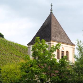 „terroir f Punkt Abt-Degen-Weintal", Ein magischer Ort am Abt-Degen-Weintal-Radweg für Genießer fränkischer Weine und der malerischen Landschaft der Haßberge - (c) Jörg Bornmann