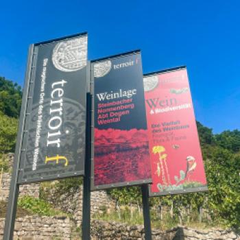 „terroir f Punkt Abt-Degen-Weintal", Ein magischer Ort am Abt-Degen-Weintal-Radweg für Genießer fränkischer Weine und der malerischen Landschaft der Haßberge - (c) Hassberge Tourismus
