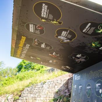 „terroir f Punkt Abt-Degen-Weintal", Ein magischer Ort am Abt-Degen-Weintal-Radweg für Genießer fränkischer Weine und der malerischen Landschaft der Haßberge - (c) Florian Liebenstein