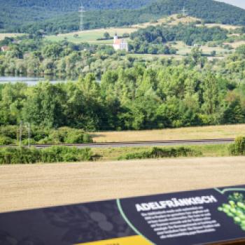 „terroir f Punkt Abt-Degen-Weintal", Ein magischer Ort am Abt-Degen-Weintal-Radweg für Genießer fränkischer Weine und der malerischen Landschaft der Haßberge - (c) Florian Liebenstein