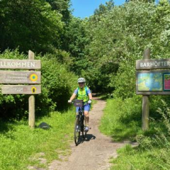 Ostseeküste: Inselhüpfen mit dem Fahrrad - (c) Armin Herb