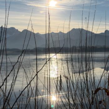Vom Ostallgäuer Alpenvorland an die „Allgäuer Riviera“ am Hopfensee - (c) Armin Herb