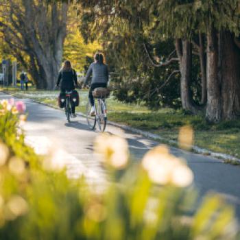 Gemütlich mit einem tollen Rahmneprogramm - (c) MTK/Leo Leister