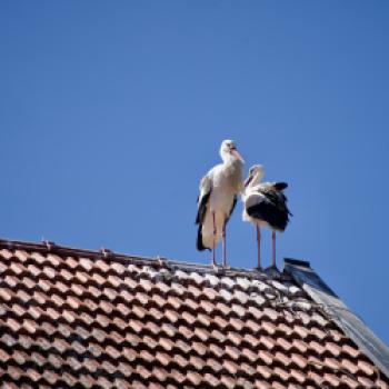 Radeln an der Ammer: Von der Quelle zur Mündung - (c) Armin Herb