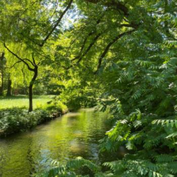 Mit der Rikscha durch Münchens grüne Lunge, der Englische Garten gehört zu den berühmtesten Orten der Stadt - (c) Gabi Dräger
