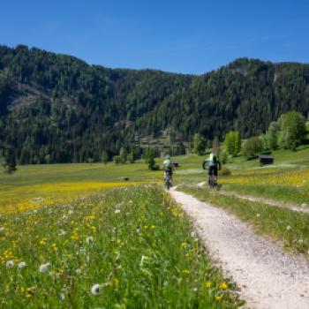 Genussvoll durch die Dolomiten: mit dem E-Bike geht das trotz Höhenmetern, auch für untrainierte Radler - (c) Maren Recken