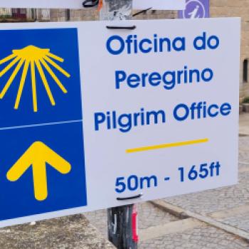Auf dem Holzweg nach Santiago de Compostela - Radpilgern- der neue Trend auf dem Jakobsweg - (c) Lutz Baeucker