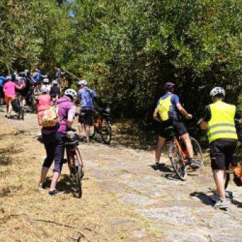 Auf dem Holzweg nach Santiago de Compostela - Radpilgern- der neue Trend auf dem Jakobsweg - (c) Lutz Baeucker