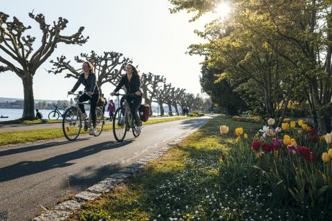 „Der unbekannte Bodensee“  Konstanzer KulturRadtouren 2023 – Unsere Terminempfehlungen - (c) MTK/Leo Leister