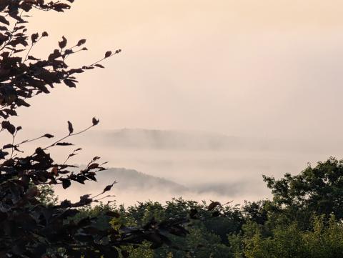 Zwischen See und Geschichte - Radeln, Genießen und Entdecken rund um den Bostalsee - (c) Carola Faber