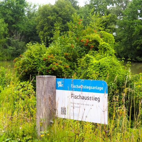 Von Landshut nach Dingolfing 32 km - (c) Jörg Bornmann