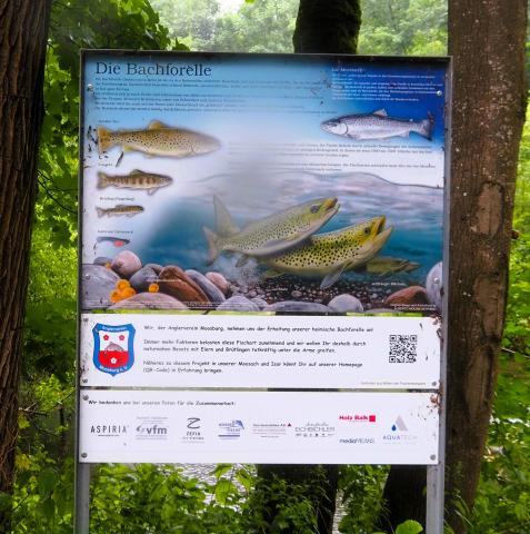 Von Freising nach Moosburg a.d. Isar 21 km - (c) Jörg Bornmann