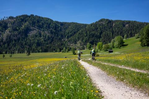 Genussvoll durch die Dolomiten: mit dem E-Bike geht das trotz Höhenmetern, auch für untrainierte Radler - (c) Maren Recken
